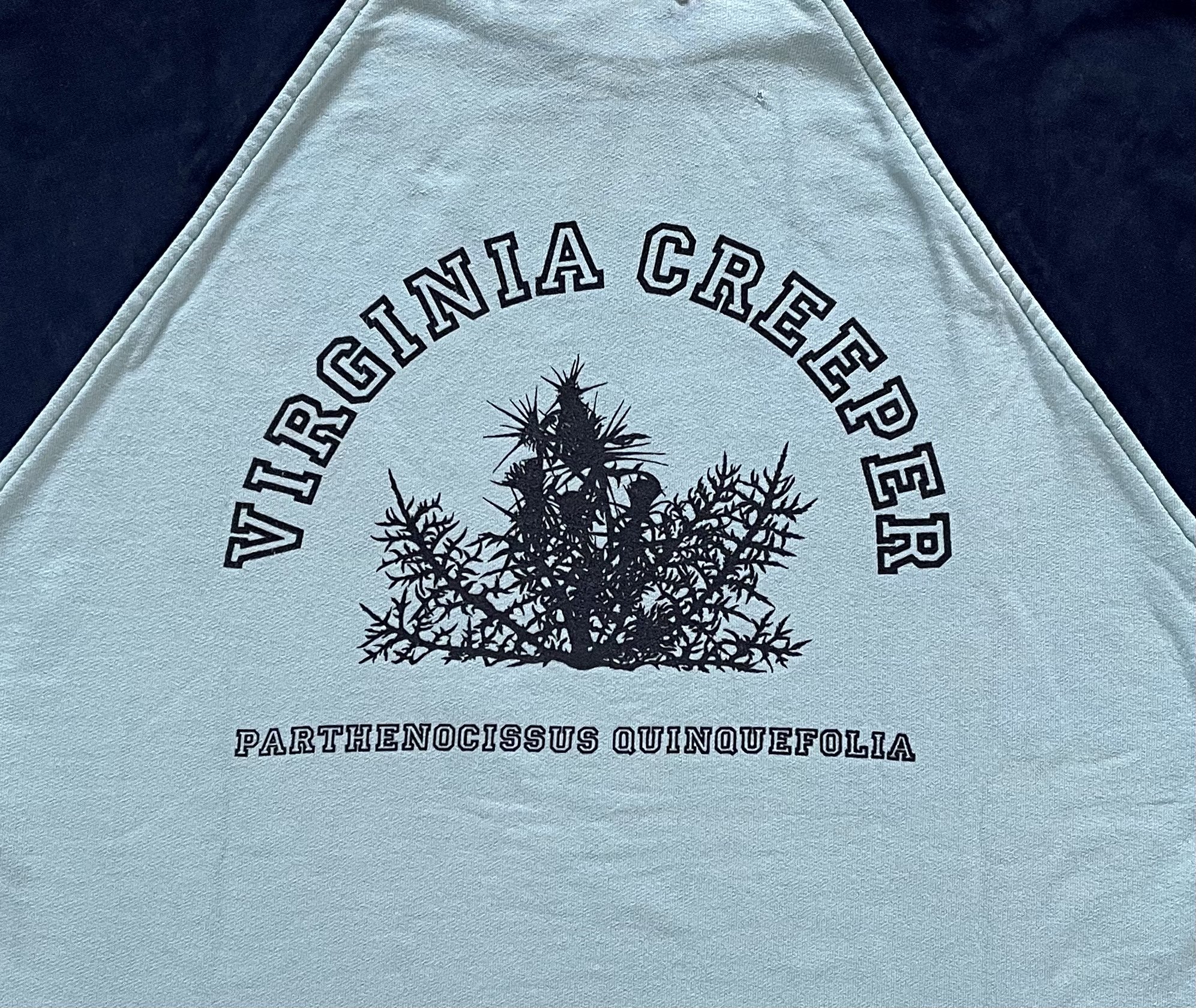Virginia Creeper sweatshirt | Reissue: Buy & Sell Designer 
